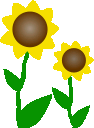 Two yellow and brown flowers