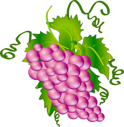 A pink bunch of grapes