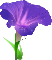 A purple flower